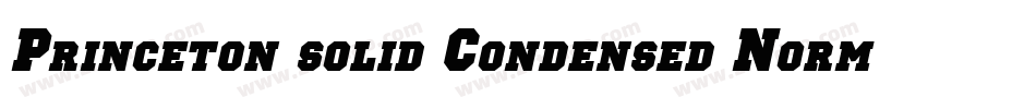 Princeton solid Condensed Normal字体转换